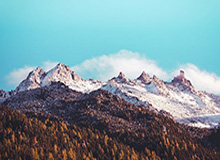 半岛体育官网：开启体育娱乐新纪元